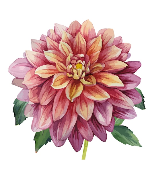 Ramo floral acuarela aislado sobre fondo blanco Colección de flores acuarela