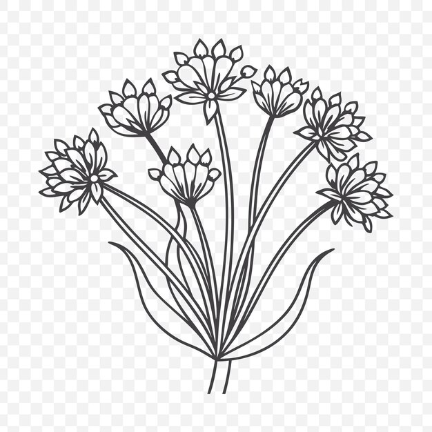 Ramo floral con cebolla ornamental diseño de ilustración vectorial de arte de línea botánica