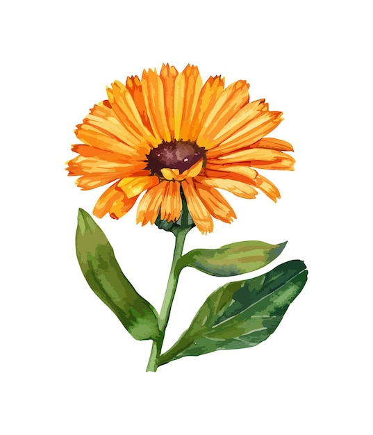 Ramo floral vintage acuarela lienzo floral acuarela