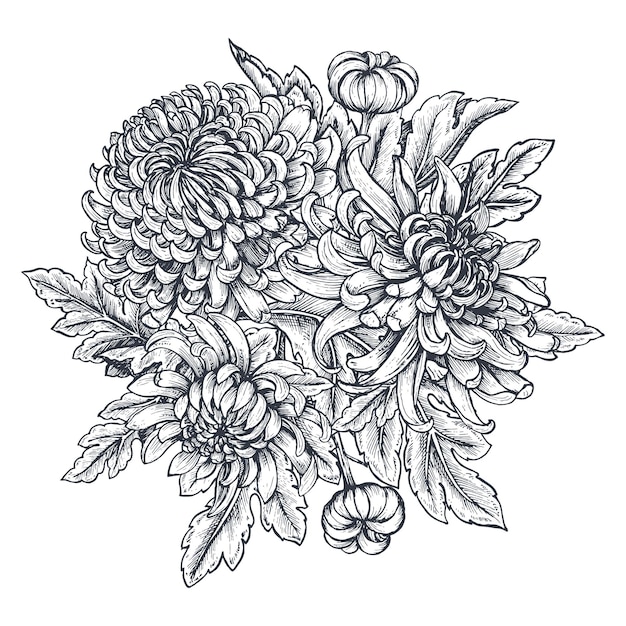 ramo de flores de crisantemo