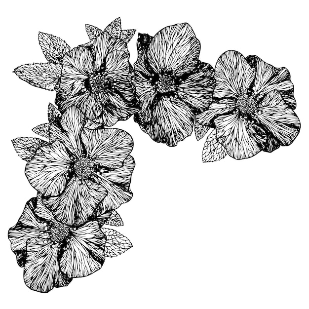 Ramo de flores de eléboro dibujo lineal en blanco y negro en el vector. Dibujo angular de un ramo de