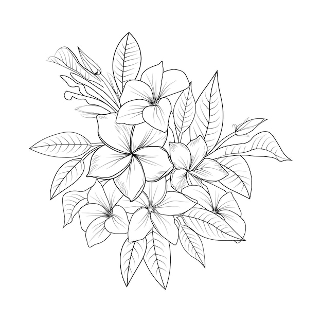 Ramo de flores de frangipani, página para colorear dibujada a mano plumeria ilustración vectorial sobre fondo blanco.