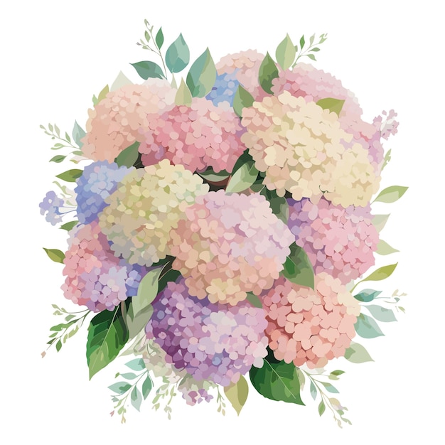 Vector ramo de flores de hortensia ilustración de acuarela vectorial