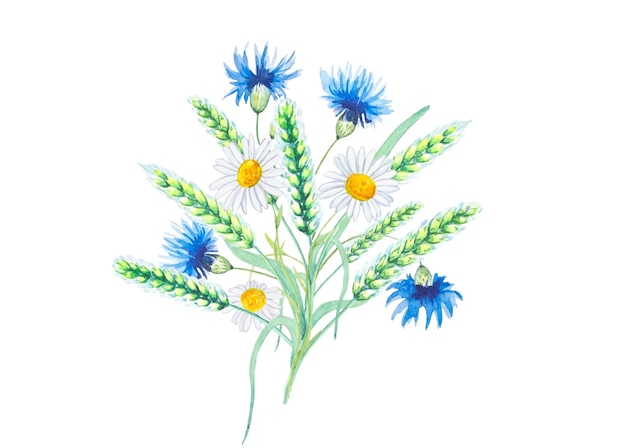 Ramo de flores de pradera flores acianos margaritas trigo