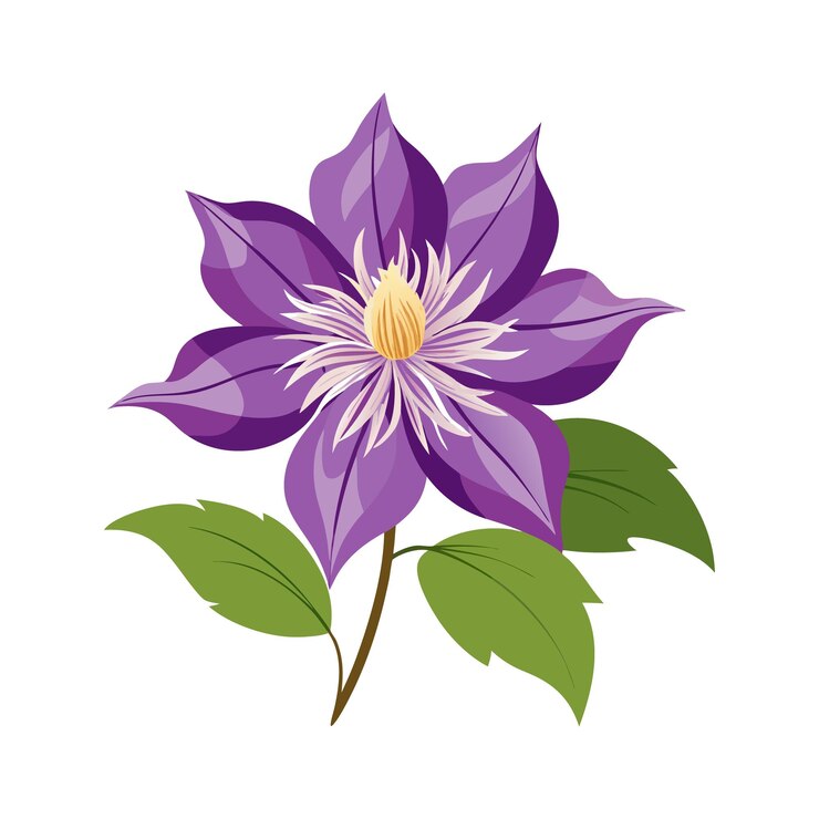 Vector ramo de flores púrpuras sobre un fondo blanco ilustración botánica en acuarela de clematis