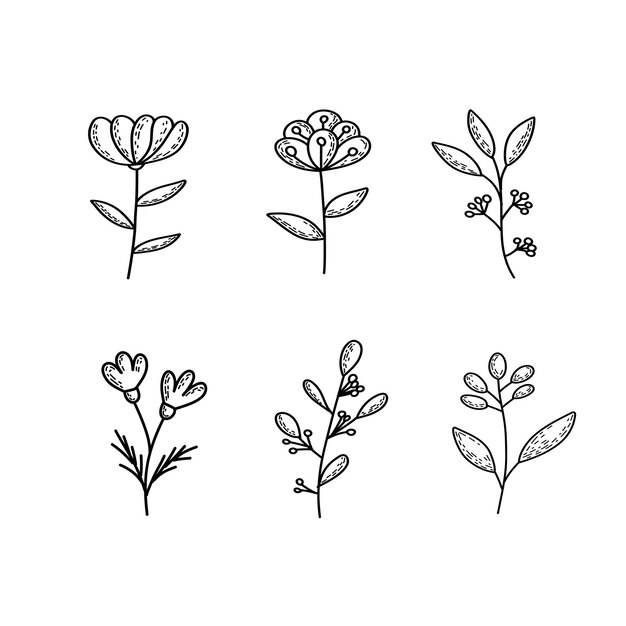 Un ramo de flores que son en blanco y negro.