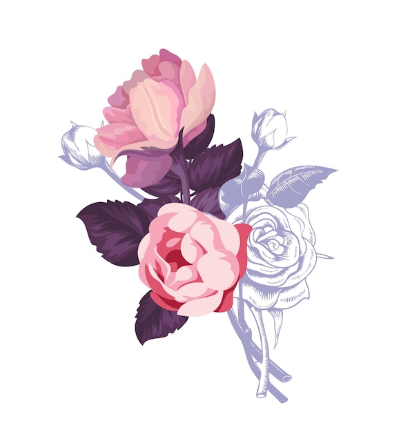 Vector ramo de flores de rosa y peonía rosa y violeta