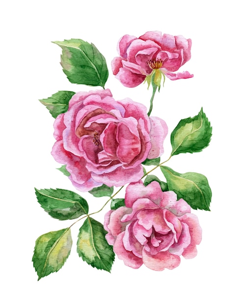 ramo de flores de rosas de acuarela