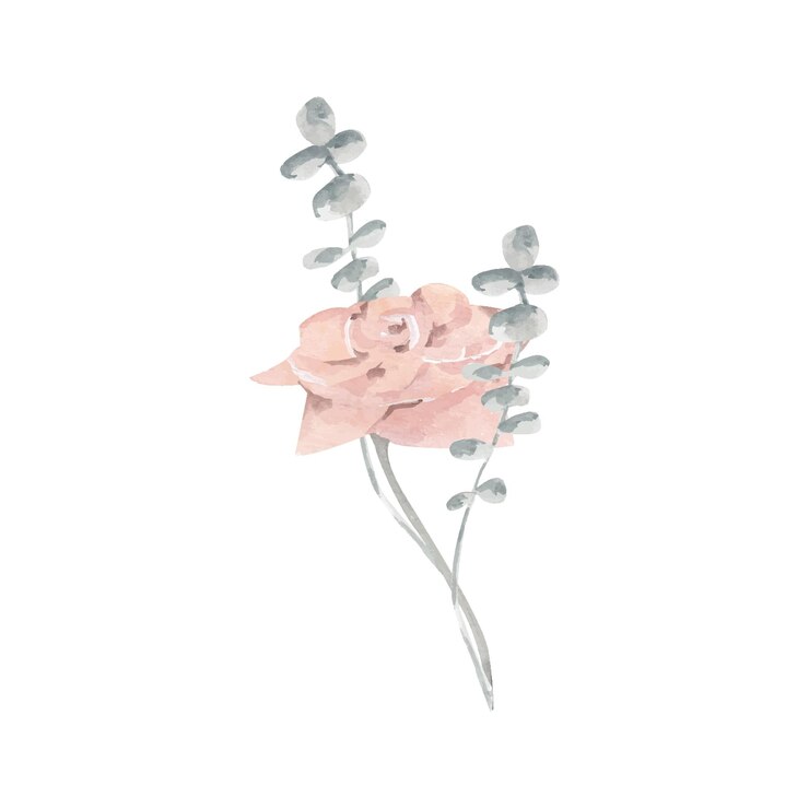 Ramo de flores secas de palma y desierto por invitación Ramo de flores secas Ilustración acuarela