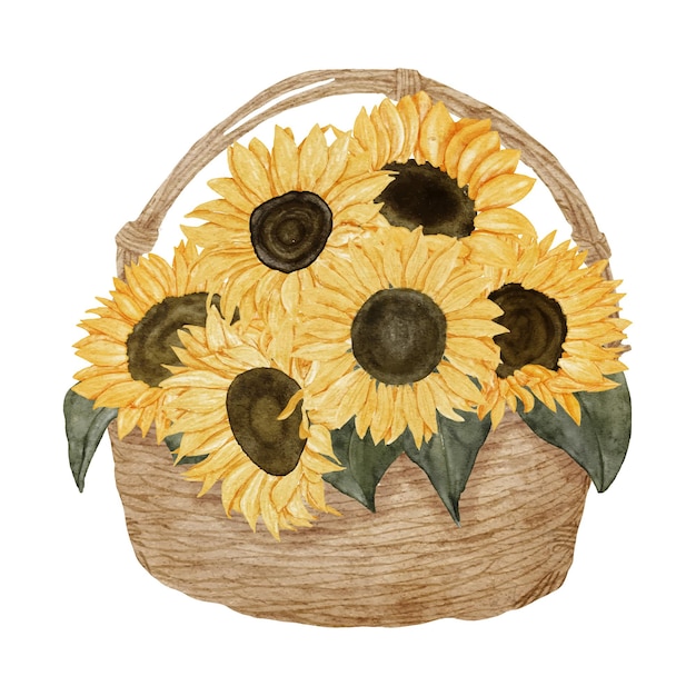 Ramo de girasol acuarela pintado a mano con canasta estilo retro tradicional