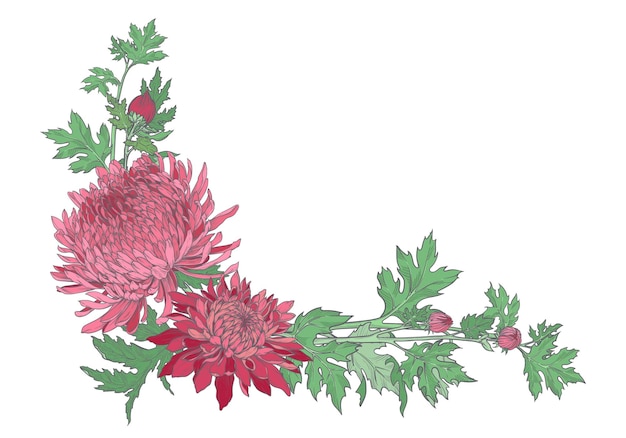 Ramo de marco de crisantemo rosa Ilustración de plantilla de invitación de boda aislado fondo blanco