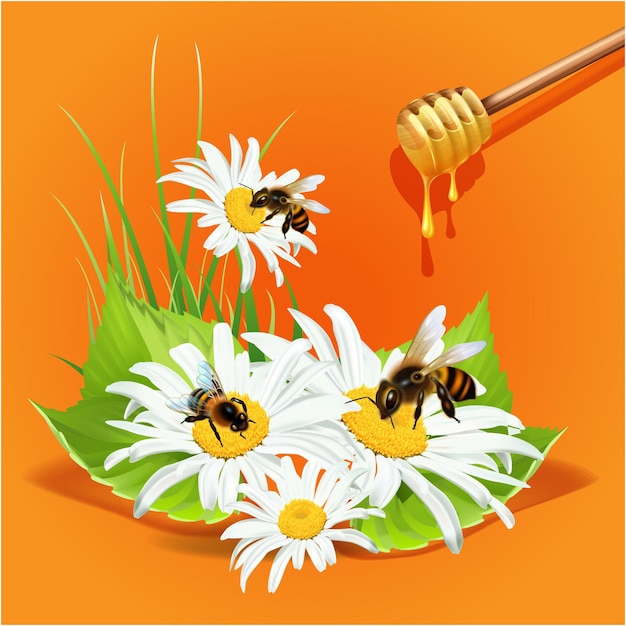 Un ramo de margaritas y una abeja en un plato con miel