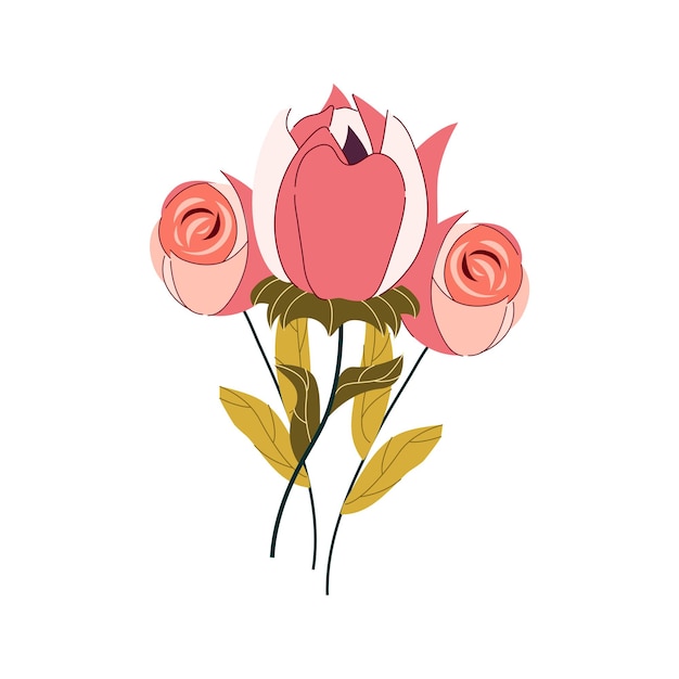ramo, rosa pequeña, aislado, fondo blanco
