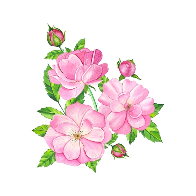 Ramo con rosa de té dibujado a mano con acuarela