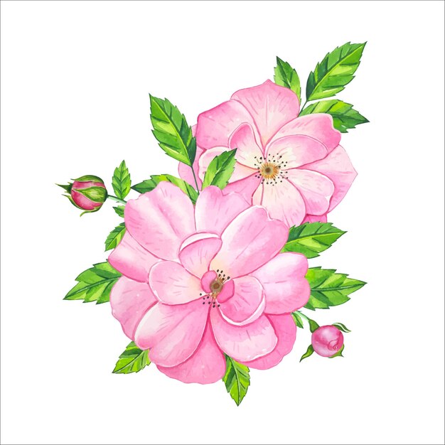 Ramo con rosa de té dibujado a mano en acuarela