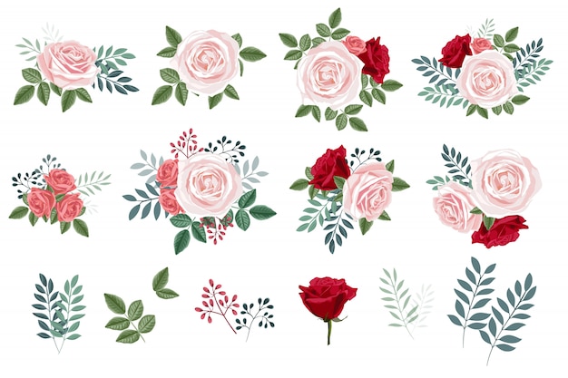 Ramo con rosas y hojas, colección de elementos de diseño floral.