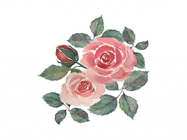 Vector ramo de rosas rojas con hojas verdes pintura ilustración acuarela