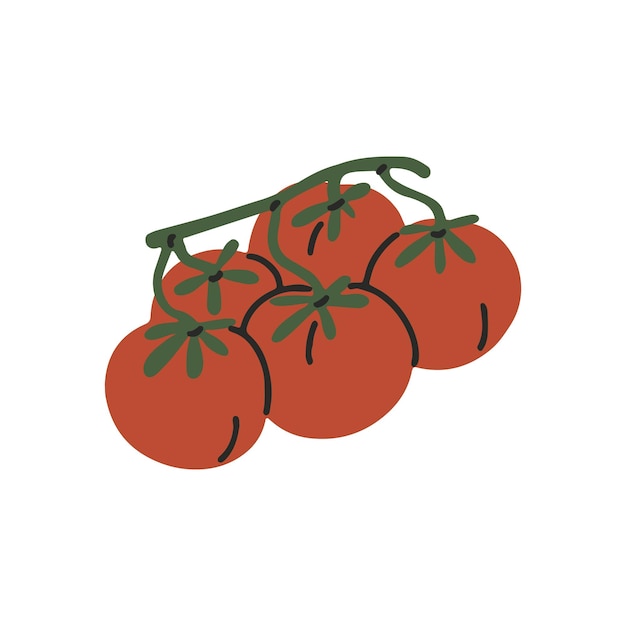 Ramo de tomates de cereza maduros y jugosos Ramo de verduras rojas frescas Cosecha de jardín orgánico con vitaminas Cosecha del otoño Alimentos vegetarianos naturales Ilustración de vector aislado plano en fondo blanco
