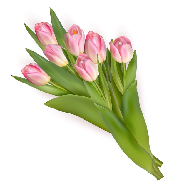 Ramo de tulipanes aislado sobre fondo blanco.