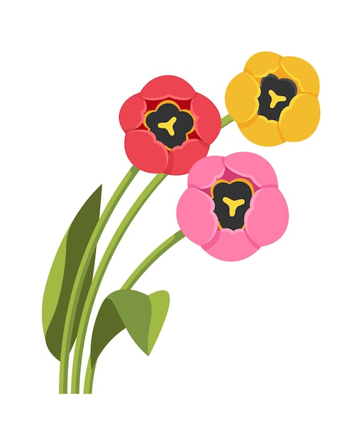 Ramo de tulipanes Elemento de diseño floral Ilustración vectorial