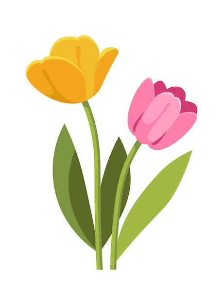 Ramo de tulipanes Elemento de diseño floral Ilustración vectorial