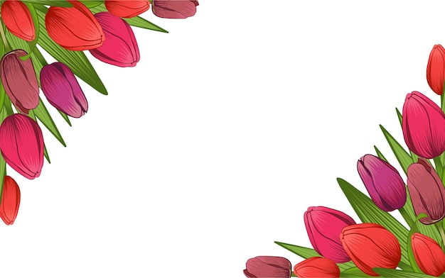 Ramo de tulipanes Muestra Imagen multicolor Hay espacio libre para texto Ilustración vectorial