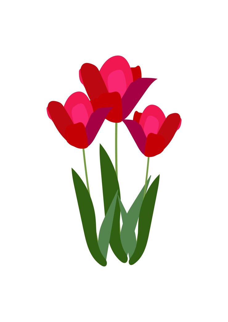 Vector un ramo de tulipanes rojos