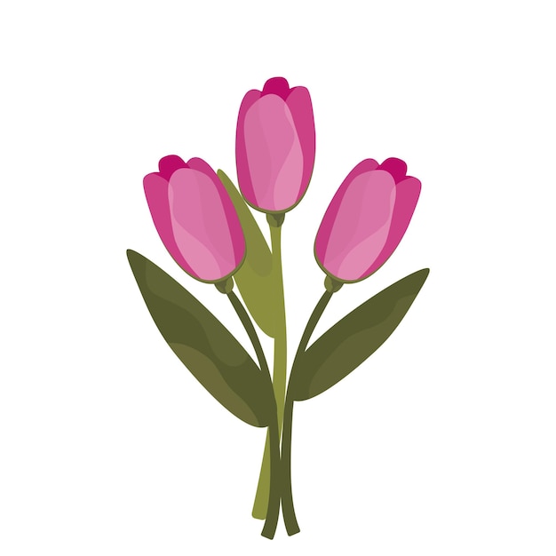 Ramo de tulipanes sobre un fondo blanco Gráficos vectoriales en estilo acuarela