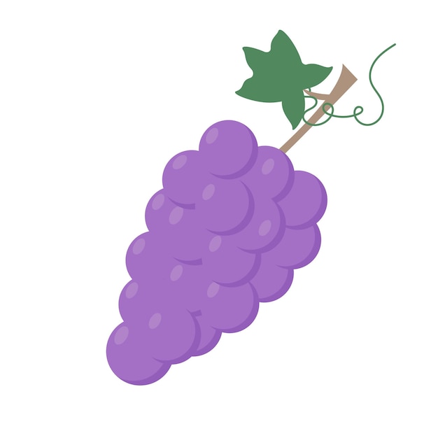 Ramo de uvas púrpuras Alimentación saludable Ilustración vectorial aislada sobre un fondo blanco