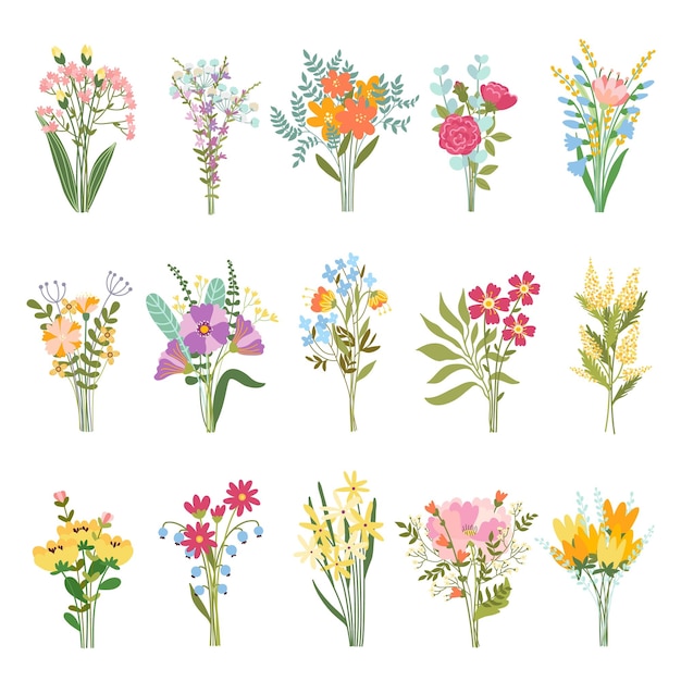 Ramos de flores Jardín floreciente y plantas silvestres en un hermoso ramo de flores y un conjunto de vectores de regalo botánico