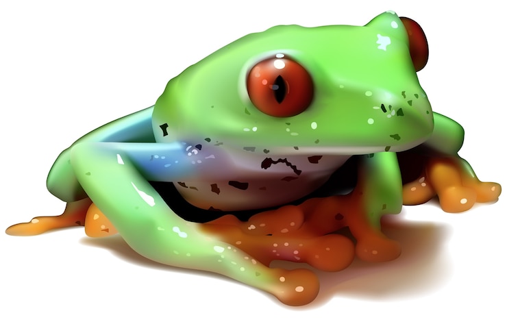 Vector rana arborícola de ojos rojos