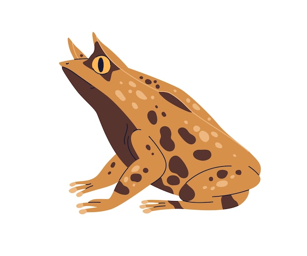 La rana de Boie. Anfibio con cuernos. Spotted Boies froggy, especies de reptiles exóticos. Proceratophrys boiei, animal salvaje. Ilustración de vector plano realista aislado sobre fondo blanco