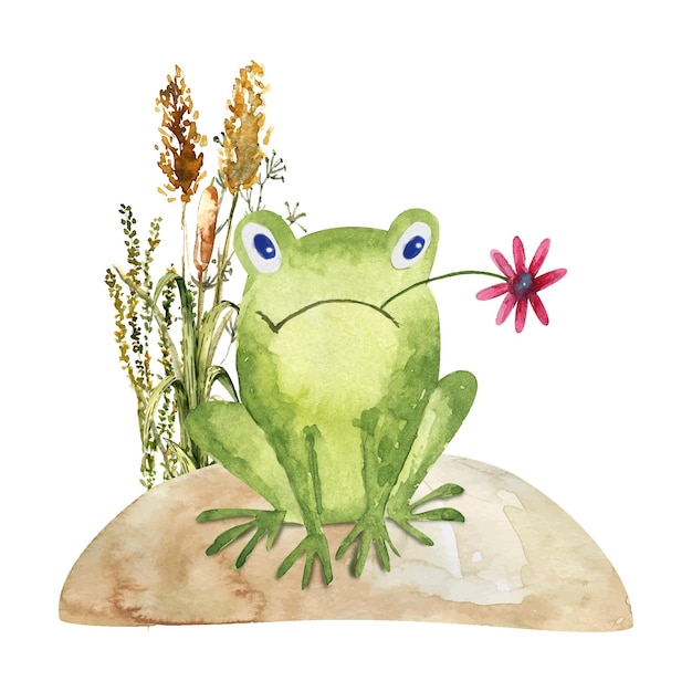 Rana divertida con una flor en la boca está sentada en el carrito de ilustración infantil de acuarela de césped