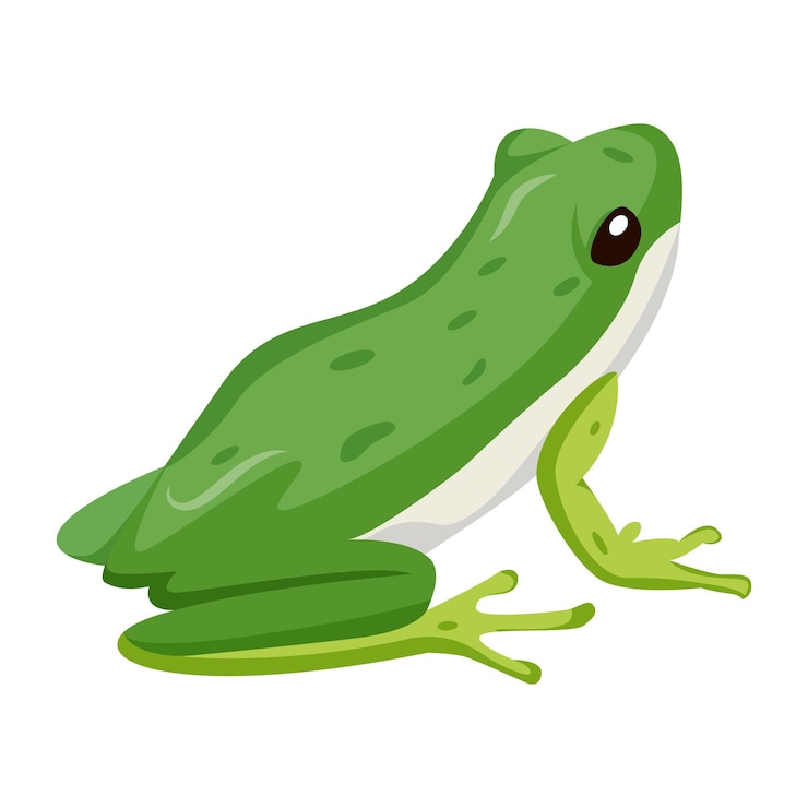 Vector una rana verde con una nariz blanca y un ojo negro y un fondo blanco