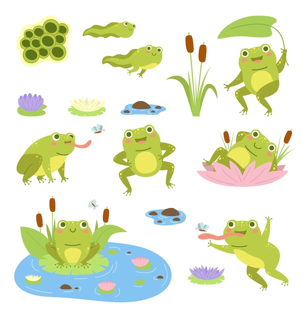 Ranas de dibujos animados Lindos reptiles acuáticos anfibios divertidos en diferentes poses renacuajos y lirios de sapo y mariposas Colección de fauna salvaje rana feliz en cañas vector mascota de estilo plano conjunto aislado