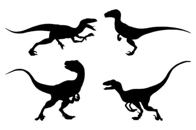 raptor silueta conjunto colección aislado negro sobre fondo blanco vector ilustración