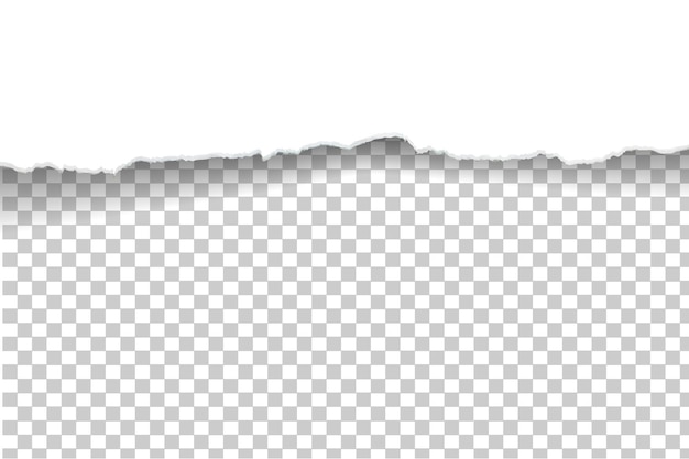 rasgado de papel