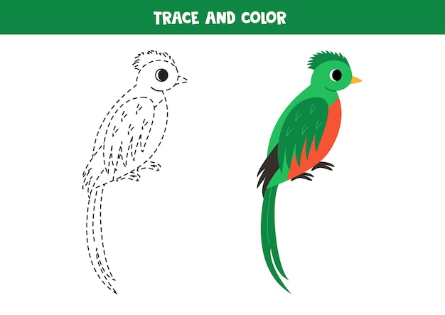 Vector rastrear y colorear el lindo pájaro de dibujos animados quetzal hoja de trabajo para niños