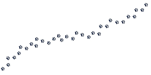 Vector rastro de pie de gato patas con garras de gatito siluetas de huella de mascotas negras pista de perro camino de huella pasos aislados de cachorro animal caminando concepto de vector reciente