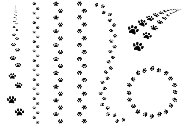 Vector rastro de pie de pata pistas de gato y perro silueta animal salvaje y textura de impresión de pata de mascota vector