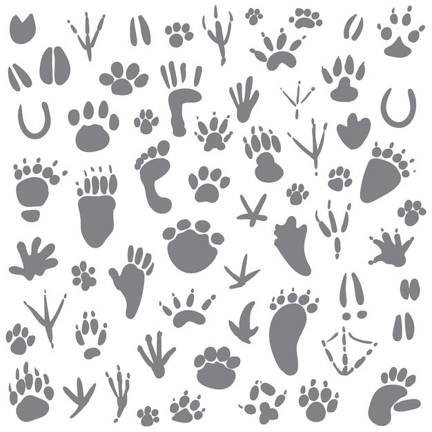 Rastros de animales Ilustración vectorial Aislado sobre fondo blanco