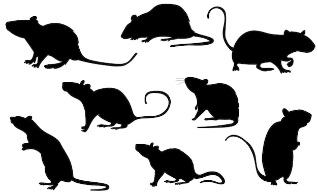 Ratas ratones conjunto silueta negra vector aislado