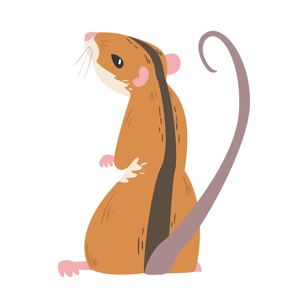 Rato de campo como pequeño roedor con cola larga y ilustración vectorial de rayas negras dorsales