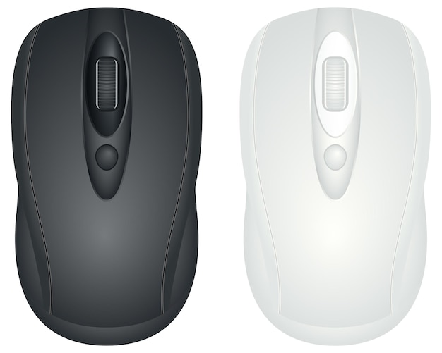 El ratón de la computadora