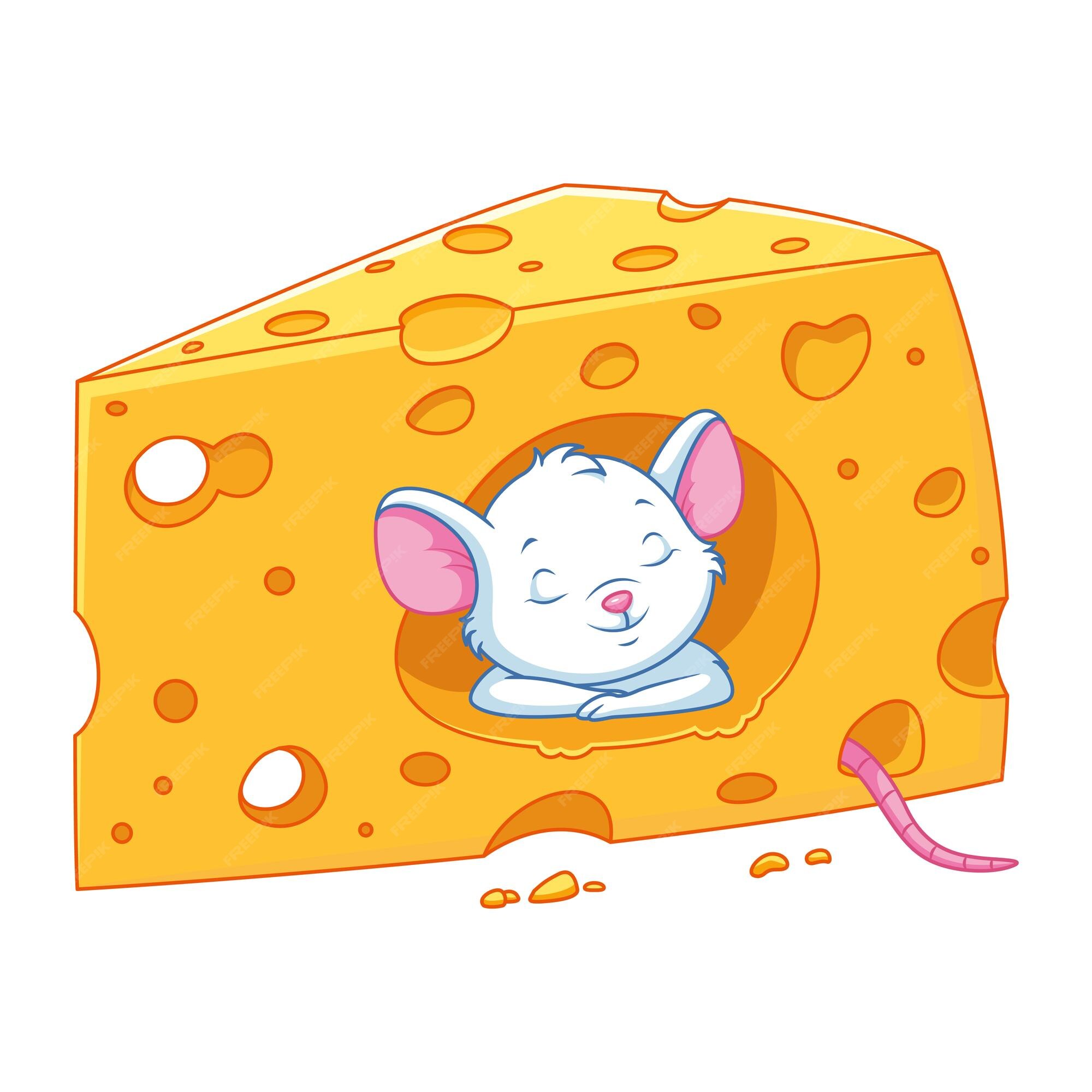 Ratón durmiendo en la ilustración de vector de dibujos animados de queso | Vector Premium Ratón durmiendo en la ilustración de vector de dibujos animados de queso | Vector Premium