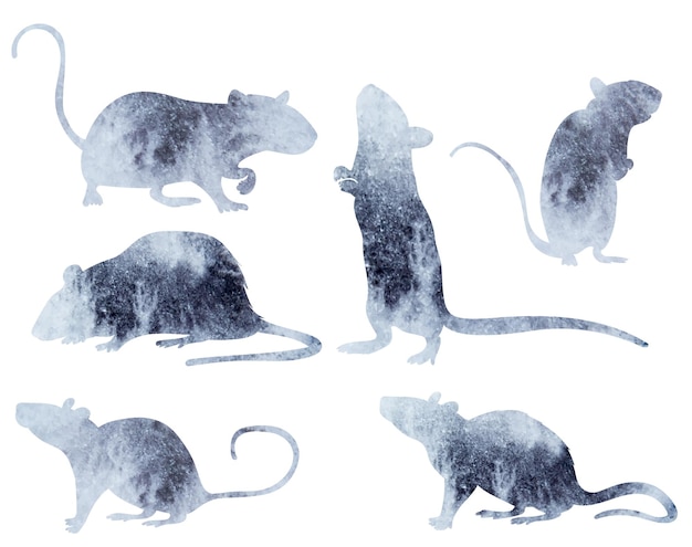 Ratón, rata conjunto de silueta acuarela, aislado, vector