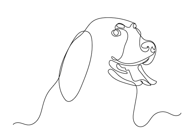 ratón