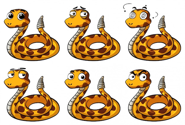 Rattle serpiente con diferentes expresiones faciales