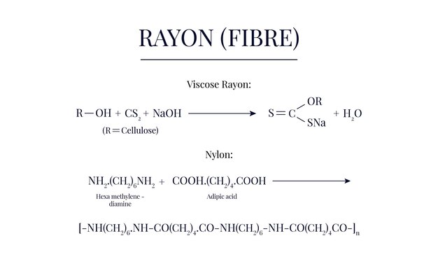 El rayón