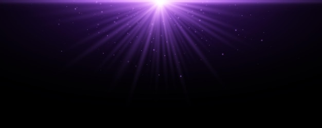 Rayos púrpuras de estrellas que brillan sobre un fondo negro Efecto de luz abstracto con polvo brillante Ilustración vectorial